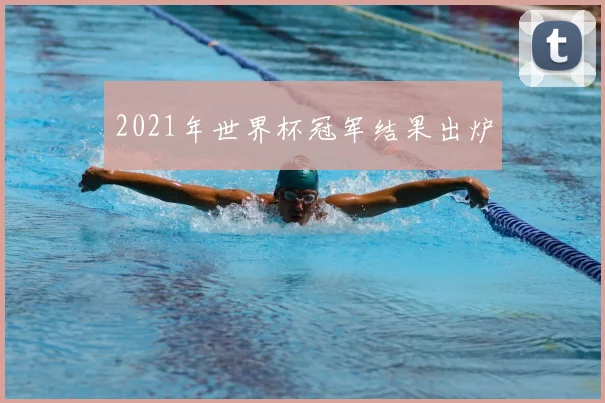 2021年世界杯冠军结果出炉