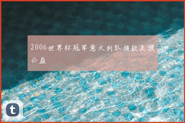 2006世界杯冠军意大利队捐款支援公益