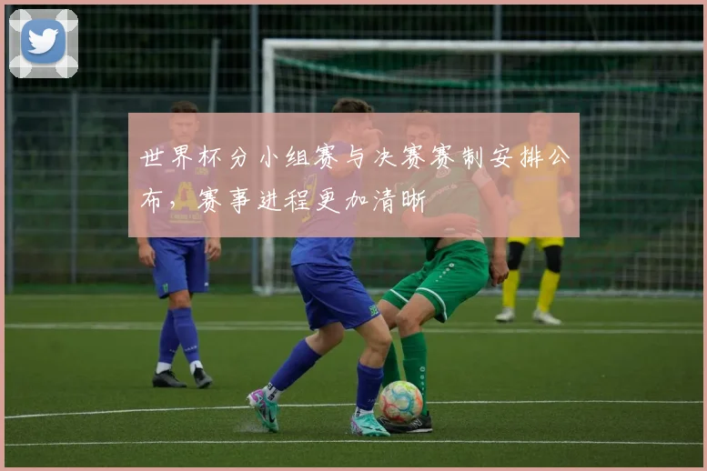 世界杯分小组赛与决赛赛制安排公布,赛事进程更加清晰