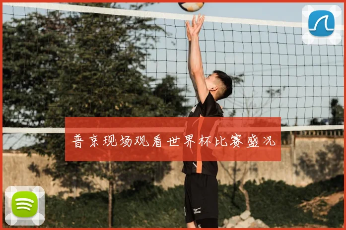 普京现场观看世界杯比赛盛况