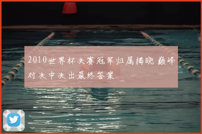 2010世界杯决赛冠军归属揭晓 巅峰对决中决出最终答案