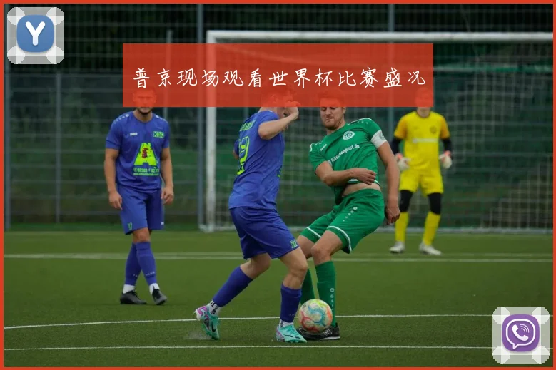普京现场观看世界杯比赛盛况