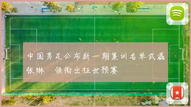 中国男足公布新一期集训名单武磊张琳芃领衔出征世预赛