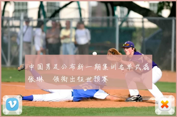 中国男足公布新一期集训名单武磊张琳芃领衔出征世预赛